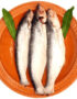 Bacha Fish