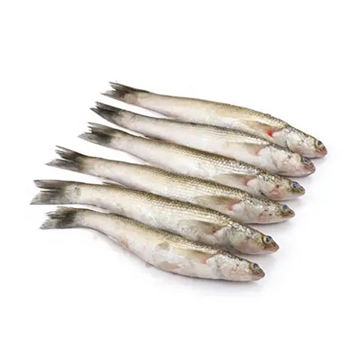 Bata