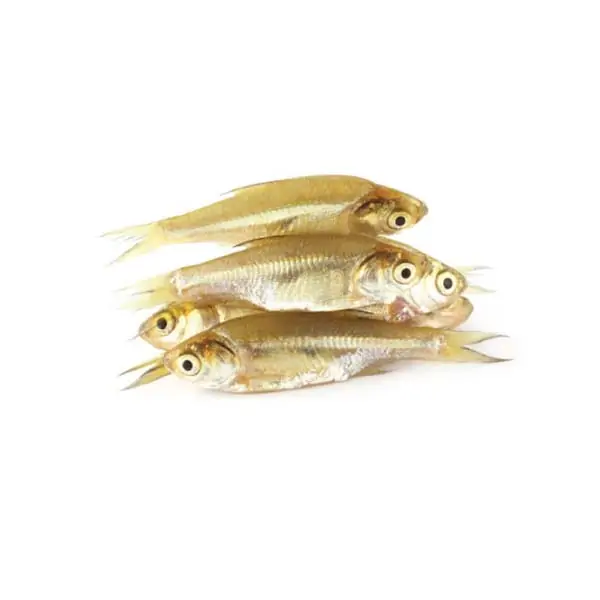 Deshi Mola