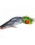 Ayre Fish