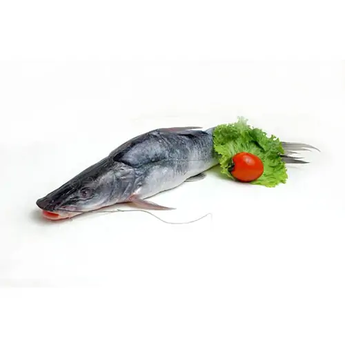 Ayre Fish