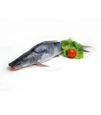 Whole Ayre Fish