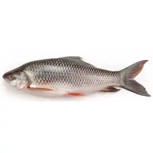 Rohu Fish Whole