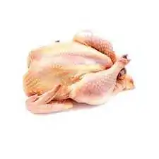 Hard Chicken